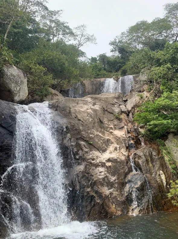 Ngắm vẻ đẹp hoang sơ, cuốn hút của Vườn quốc gia Núi Chúa - Phước Bình