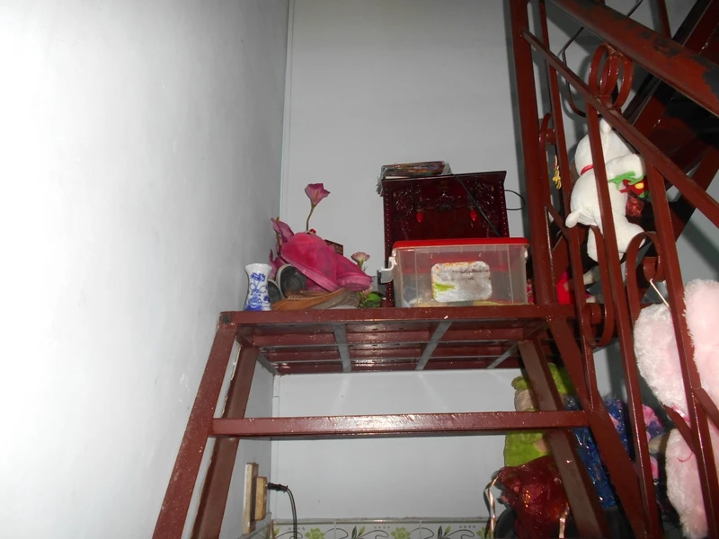 Mưa chỉ 5 phút, cả con hẻm chìm trong biển nước ảnh 2