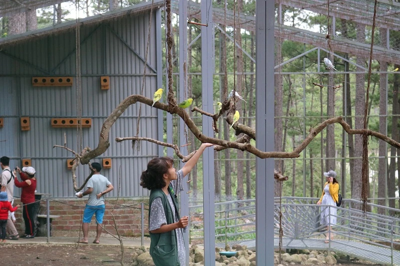 Check in Đà Lạt, ghé Zoo Doo chơi cùng kangaroo ảnh 20