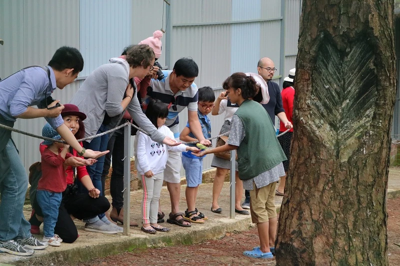 Check in Đà Lạt, ghé Zoo Doo chơi cùng kangaroo ảnh 21