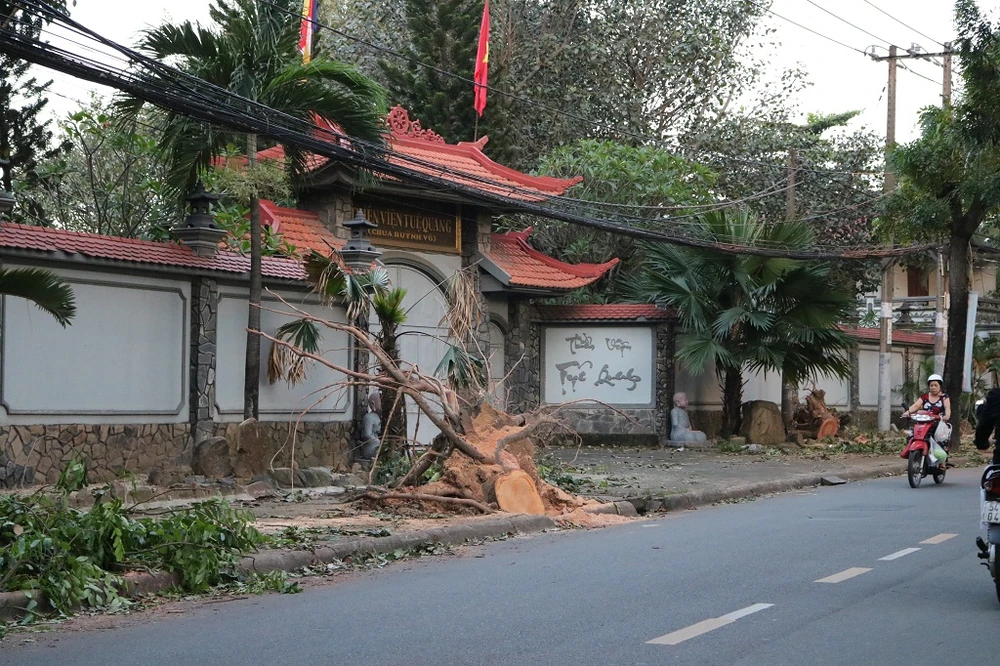 Bố trí lớp học tạm thời cho HS sau cơn 'cuồng phong' ảnh 3