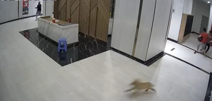 Hình ảnh trích từ camera ghi lại cảnh người đàn ông đánh người tại chung cư quận 7. Ảnh chụp từ clip.