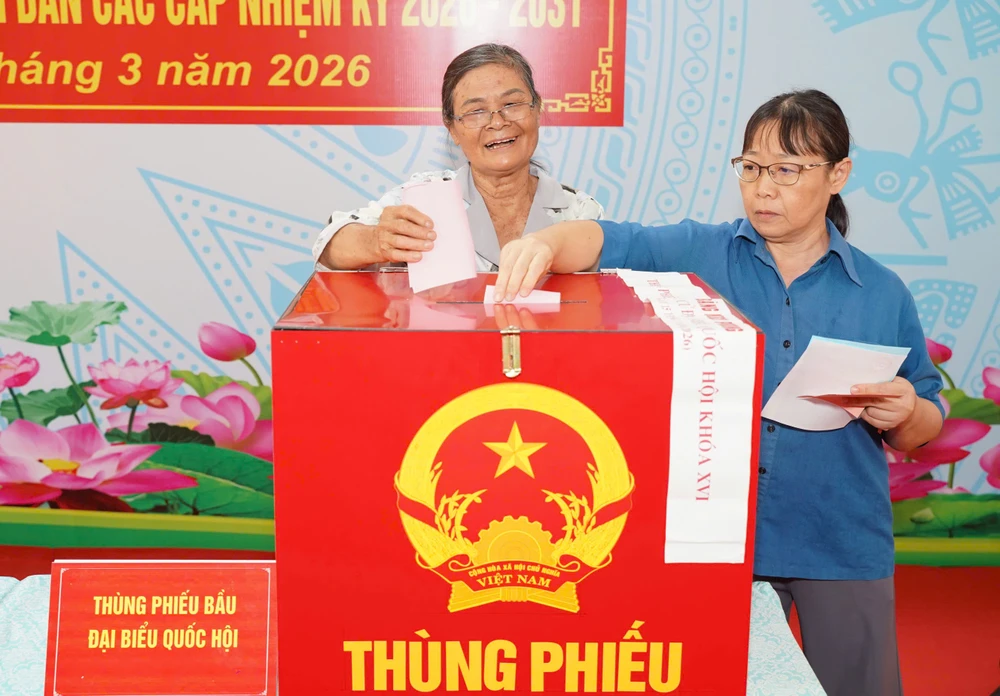 chum-anh-bau-cu-tphcm 19.jpg