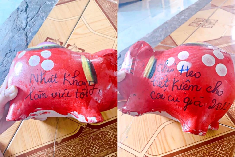 Cậu bé 6 tuổi Nhật Khang nuôi heo "làm việc tốt" từ khi 4 tuổi. Ảnh: NVCC