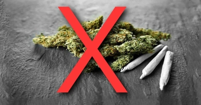 “Cỏ Mỹ” là chất ma túy tuyệt đối cấm sử dụng, tàng trữ, mua bán, vận chuyển. Ảnh: BVCC