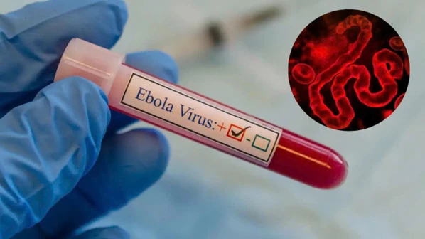 ebola.png