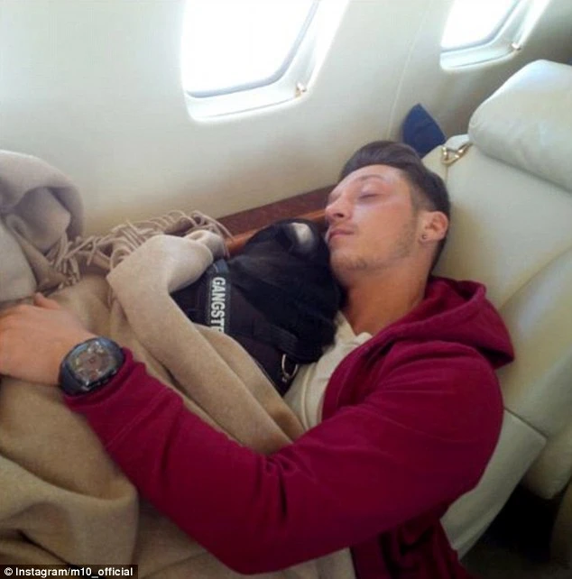 Mesut Ozil chơi bóng với cún cưng Paul Pugboa ảnh 2