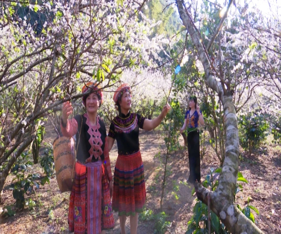 Cảnh đẹp của vườn hoa thu hút rất nhiều người đến tham quan, chụp ảnh.