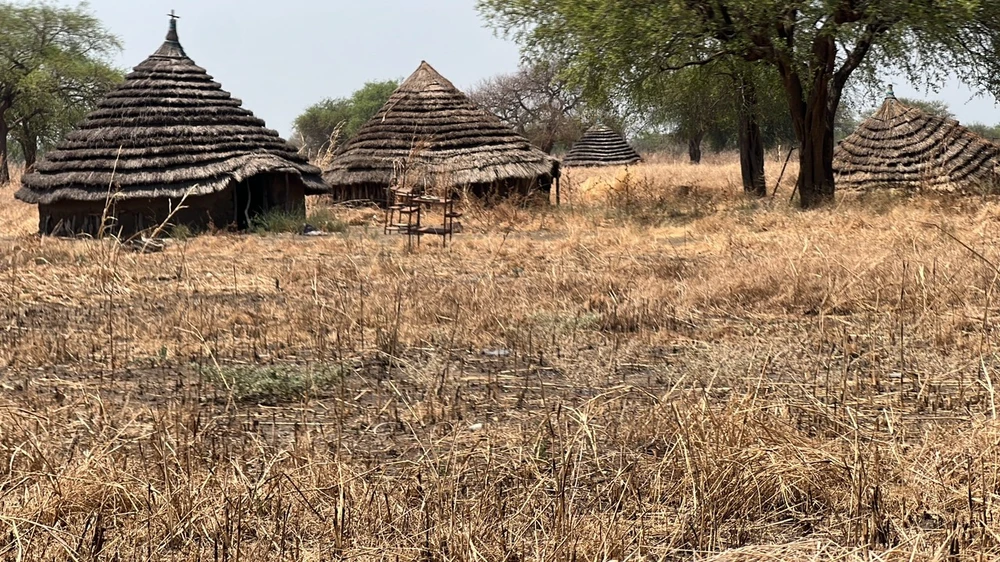 Đội Công binh Việt Nam