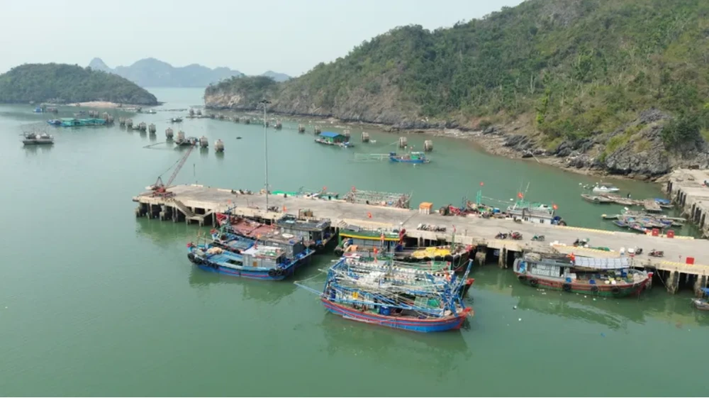 cơ sở lưu trú du lịch