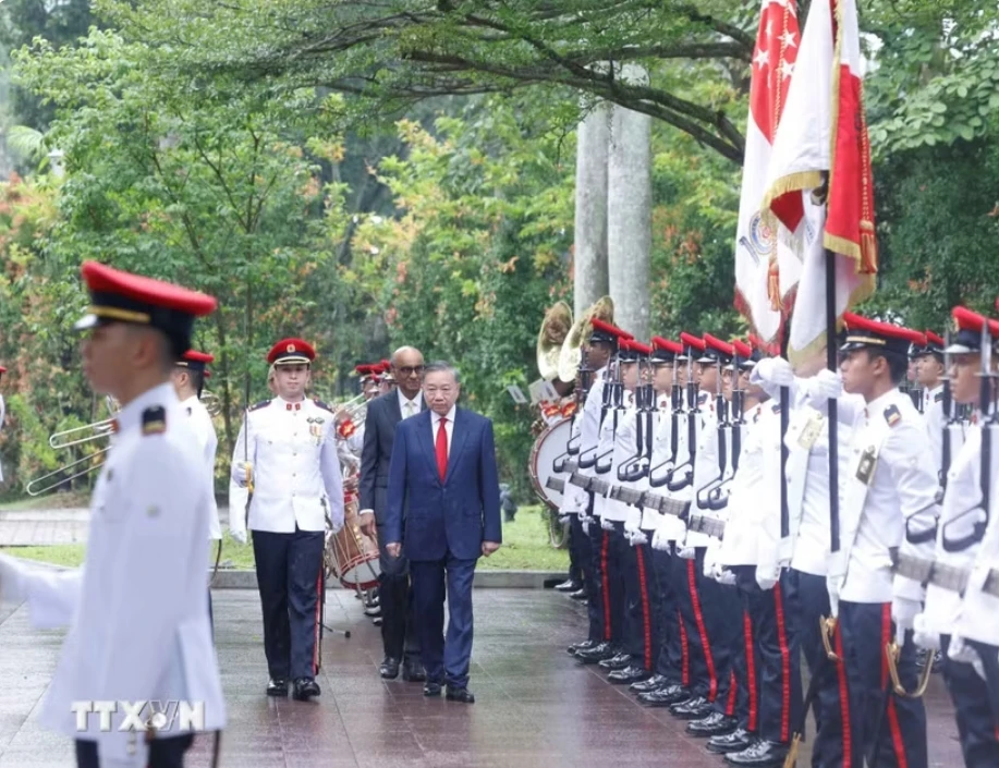 tong-thong-singapore-va-phu-nhan-ra-tan-cua-xe-don-tong-bi-thu-chu-tich-nuoc-to-lam-2.jpeg