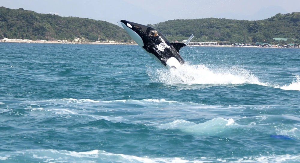 'Cưỡi’ cá mập, cá heo tuyệt đẹp trên biển Nha Trang ảnh 9