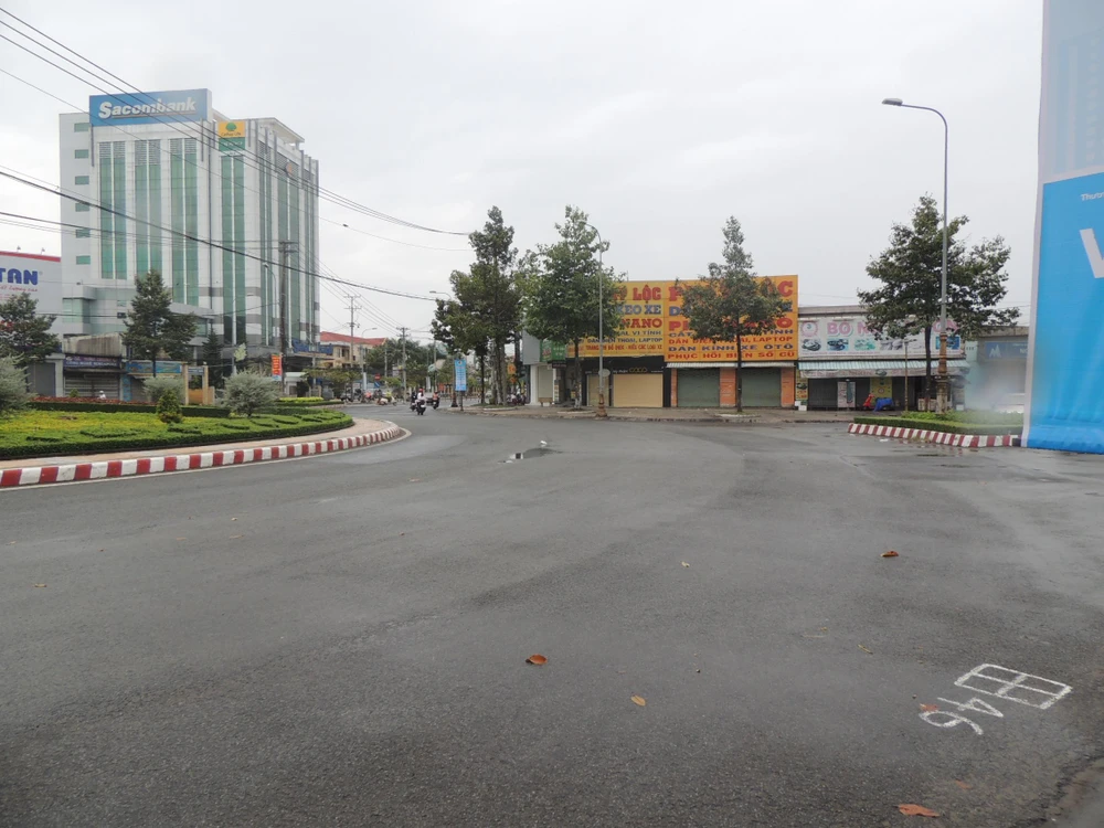 Bến Tre: Cắt ngọn cổ thụ đề phòng gãy đổ trong bão16 ảnh 6