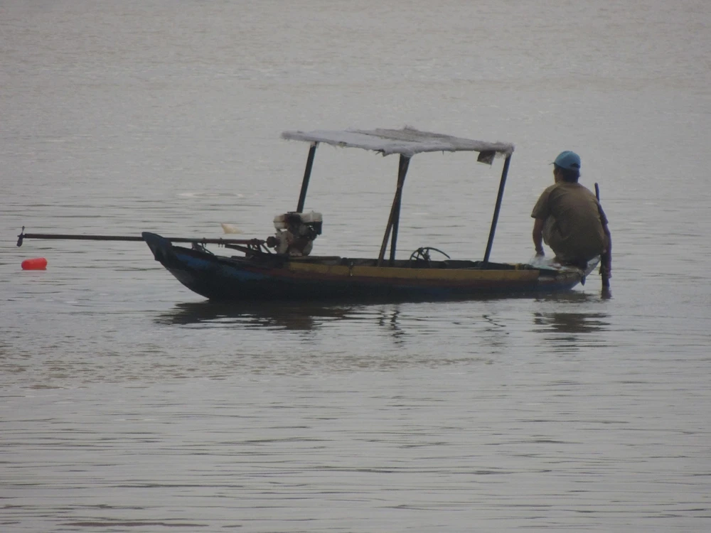 Bến Tre: Cắt ngọn cổ thụ đề phòng gãy đổ trong bão16 ảnh 8