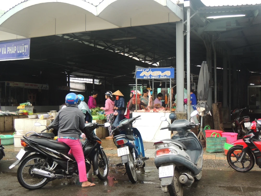 Bến Tre: Cắt ngọn cổ thụ đề phòng gãy đổ trong bão16 ảnh 3