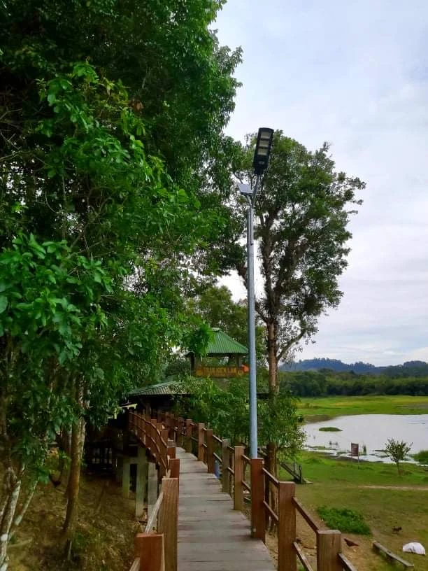 Bí ẩn cung đường đến vương quốc cá sấu giữa rừng Cát Tiên ảnh 16