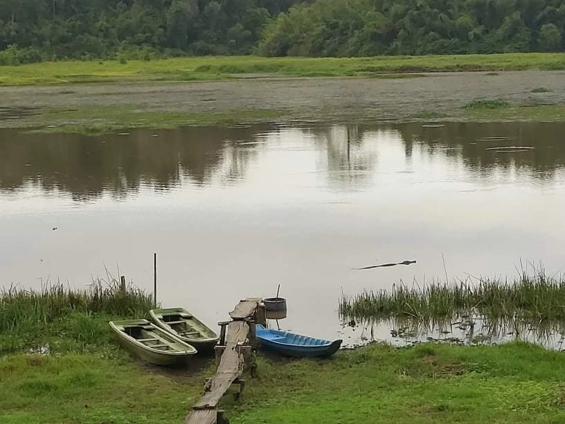 Bí ẩn cung đường đến vương quốc cá sấu giữa rừng Cát Tiên ảnh 18