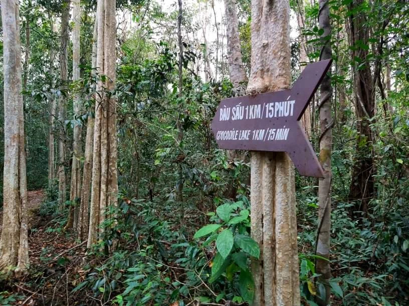 Bí ẩn cung đường đến vương quốc cá sấu giữa rừng Cát Tiên ảnh 13