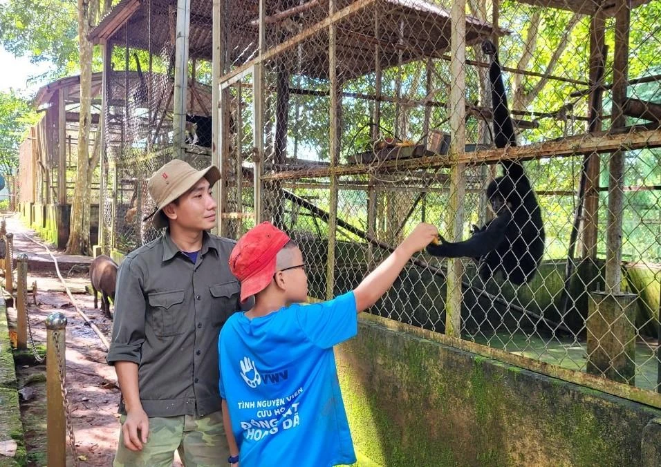 Chú Nguyễn Đức Trọng đang hướng dẫn bạn Lê Khôi Nguyên cách cho em vượn đen má vàng ăn chuối. Ảnh: Kha Nhiên