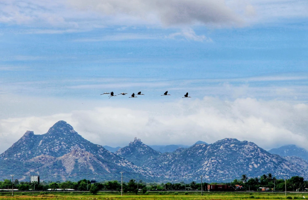 Với ông Bảy, niềm vui xen lẫn xúc động khi được sum họp cùng gia đình, là điều thiêng liêng nhất.