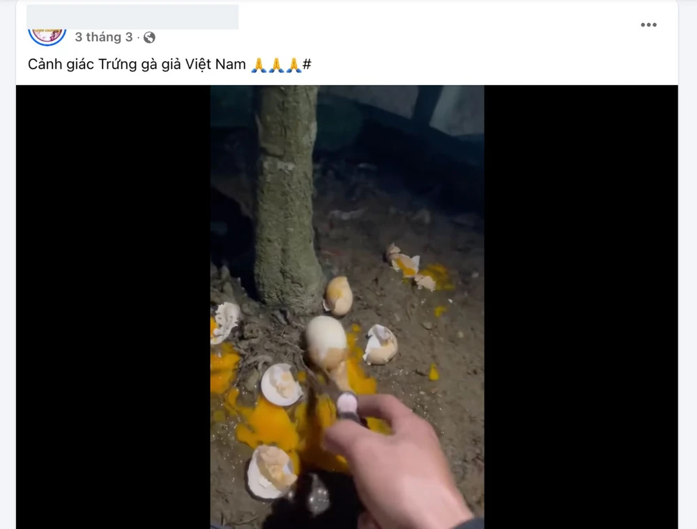 trứng gà giả..png