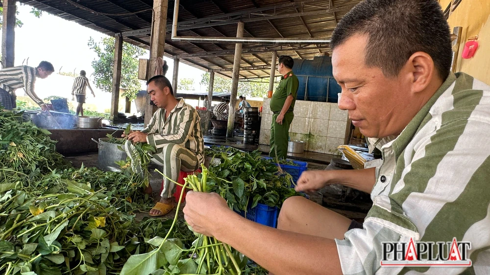Phạm nhân nhặt rau, chuẩn bị cho bữa trưa. Ảnh: VÕ TÙNG Phạm nhân nhặt rau, chuẩn bị cho bữa trưa. Ảnh: VÕ TÙNG