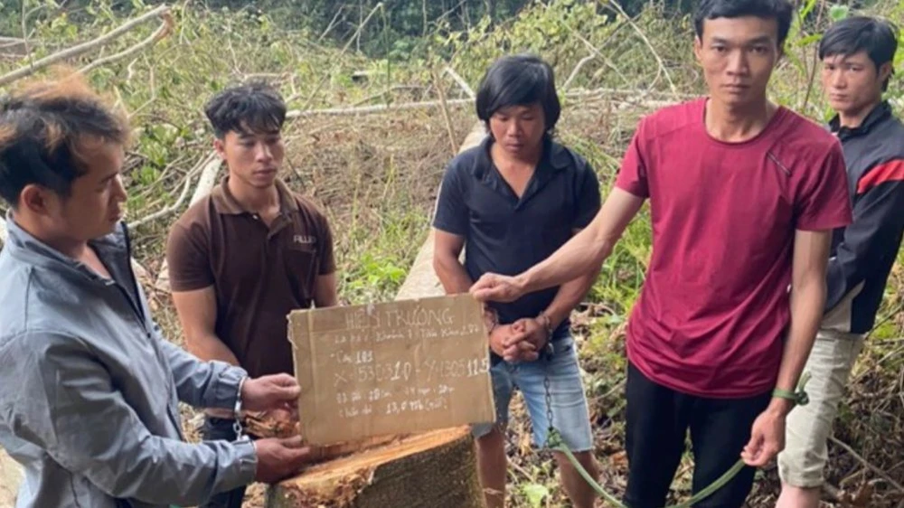 Công an khám nghiệm hiện trường vụ phá rừng nghiêm trọng. Ảnh: VT