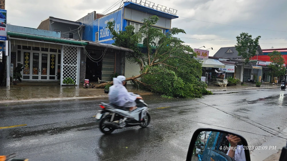 Hàng chục cây xanh gãy đổ sau trận lốc xoáy. Ảnh: VT