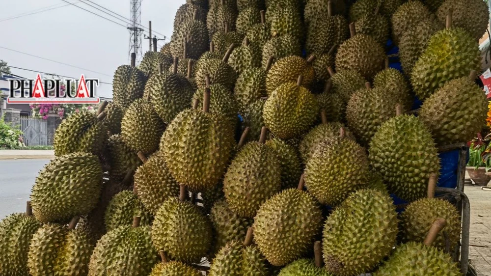 Sau khi nhúng thì để lên nơi khô ráo, thoáng mát. Ảnh: VÕ TÙNG (ảnh minh họa)