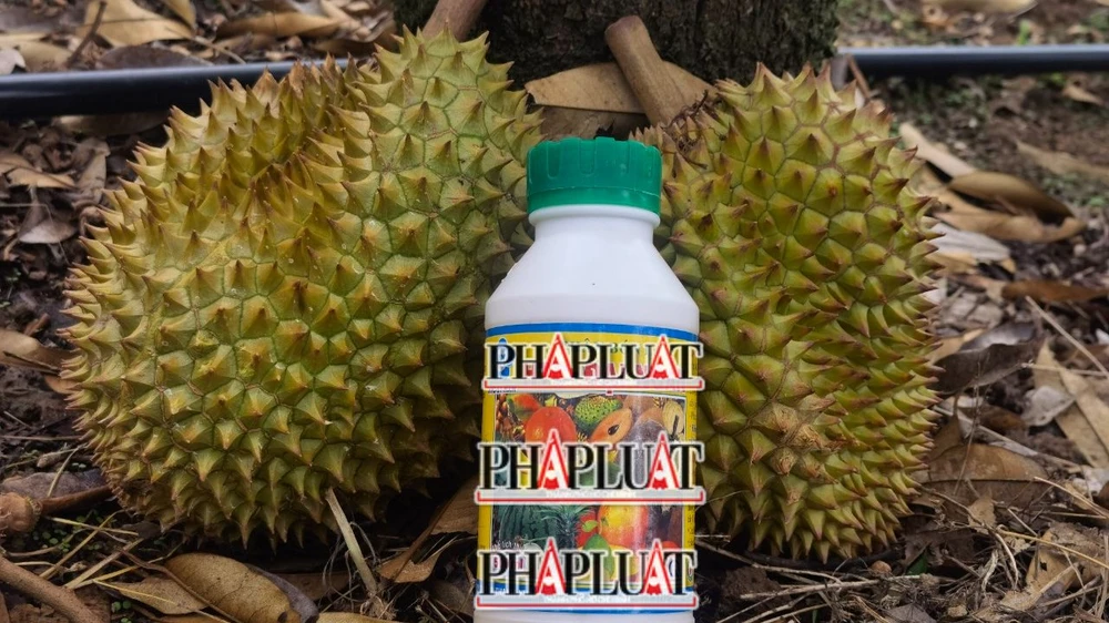 Dễ dàng mua thuốc để nhúng sầu riêng ở các tiệm bán thuốc bảo vệ thực vật. Ảnh: VÕ TÙNG (ảnh minh họa)