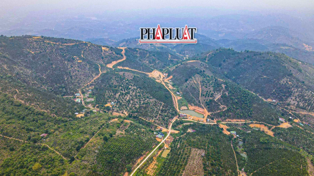 Tiểu khu 491 nơi nơi ông Bình và những người liên quan lập khống hồ sơ giao khoán rừng và đất lâm nghiệp. Ảnh: VÕ TÙNG