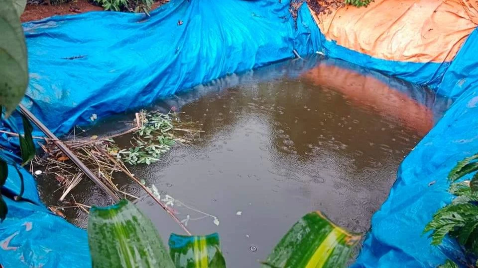 Cái ao nơi cháu K'Ya Duệ bị đuối nước. Ảnh: NDCC