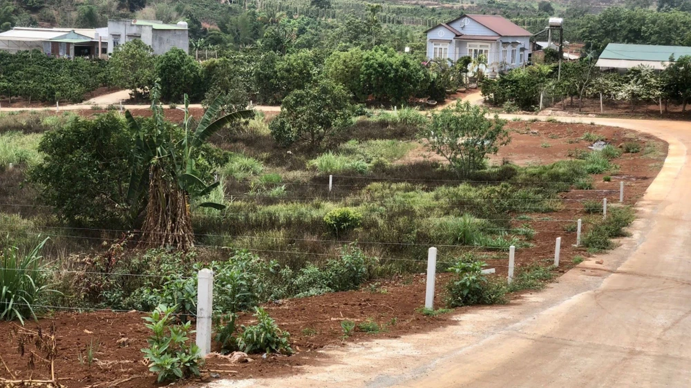 Lâm Đồng sẽ sớm có quy định mới về tách thửa đất. Ảnh: VÕ TÙNG