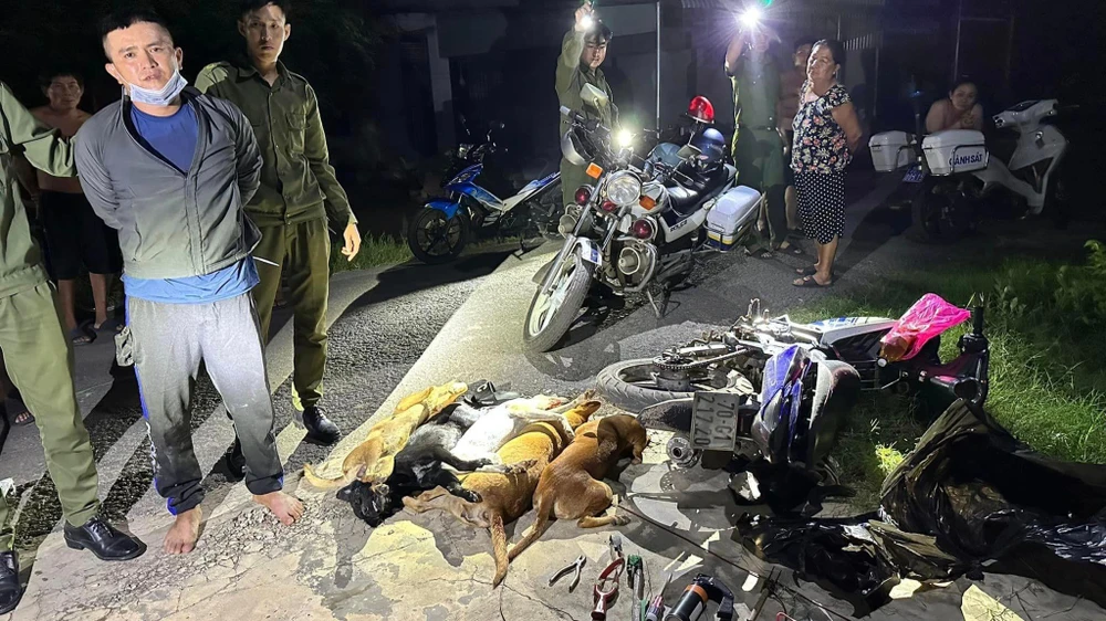 Nạn trộm chó đang tái diễn ở Tây Ninh