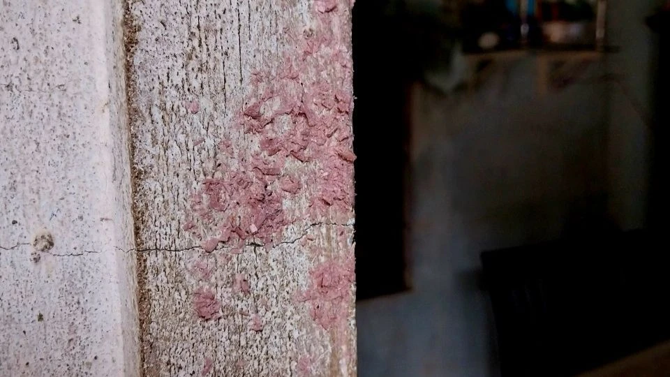 Mắm tôm do Hiền và Phước ném vào nhà bà Châu. Ảnh: VT