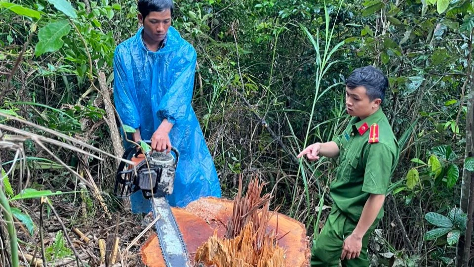 Công an huyện Đức Trọng thực nghiệm điều tra vụ phá rừng lấy gỗ. (Trong ảnh là Ya Biển)