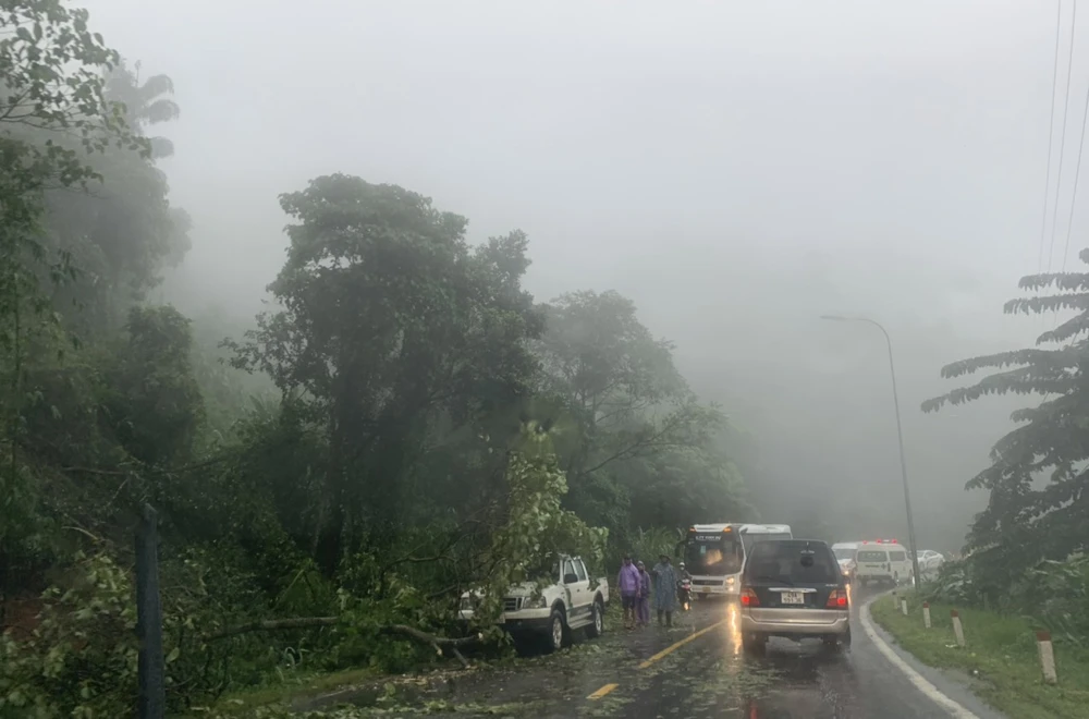 Cây xanh đổ chắn ngang đường