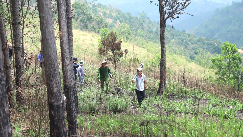 Nhiều cán bộ bị xem xét xử lý sau khi cấp đất rừng, đất lâm nghiệp sai quy định.