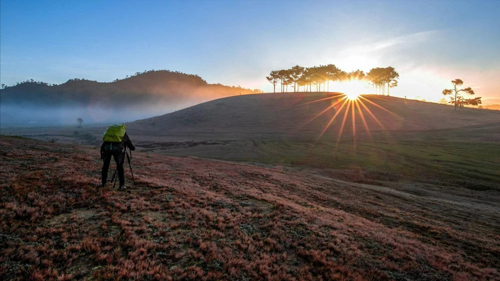 Rực rỡ mùa hội cỏ hồng Lang Biang