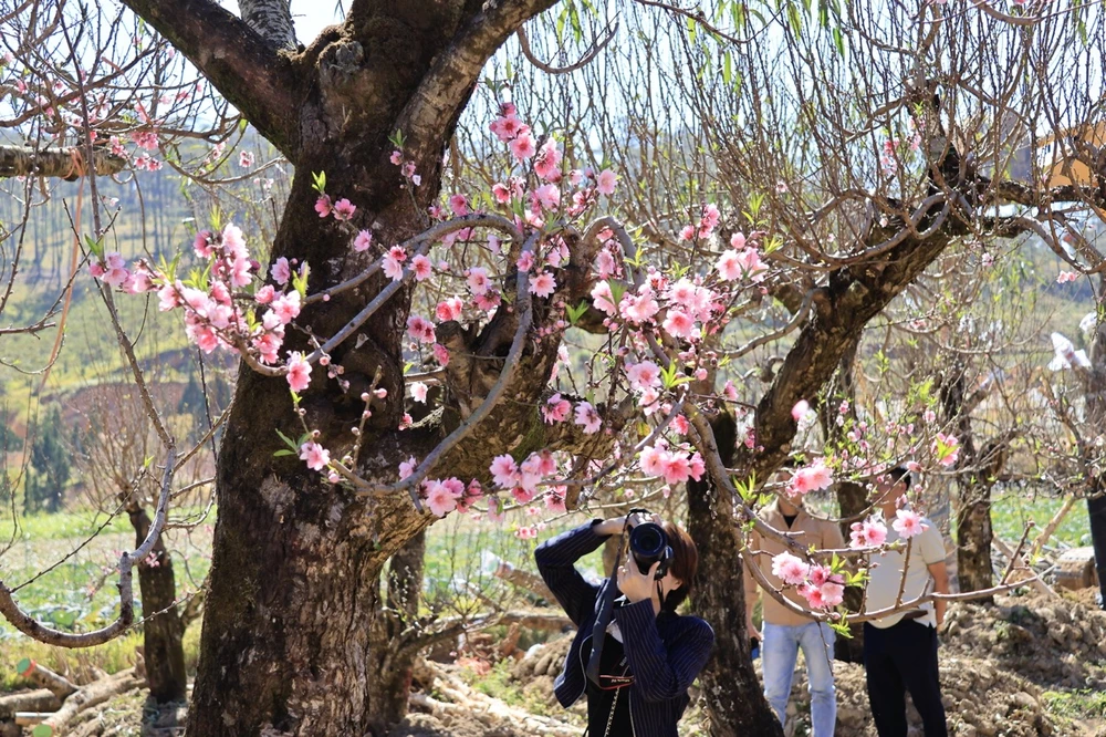 langbiang-13 lớn.jpeg