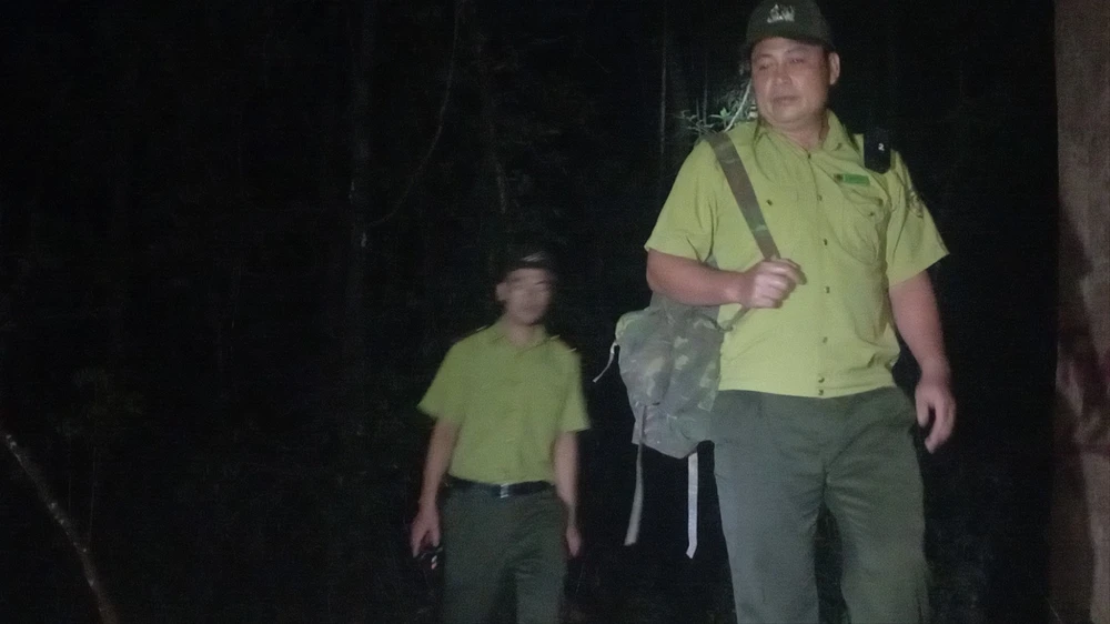 Kiểm lâm tuần tra xuyên đêm giao thừa để phòng chống cháy rừng
