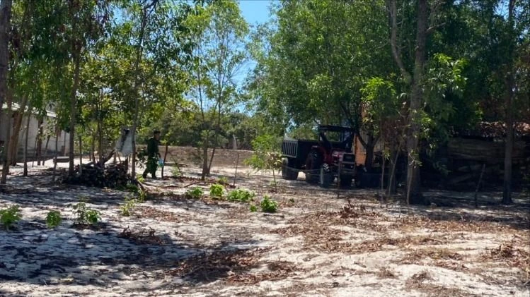 UBND tỉnh Bình Thuận chỉ đạo xử lý “công trường sa tặc”