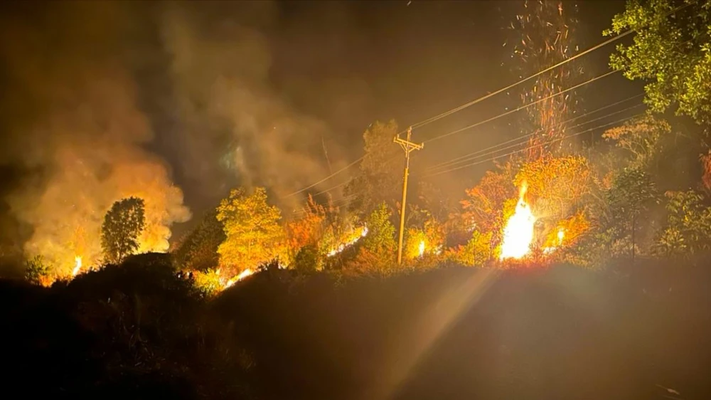 Tạo ranh cản lửa, dập tắt vụ cháy rừng trong đêm