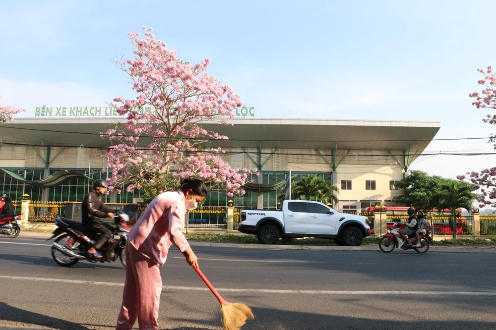 hong-phan-3 lớn.jpeg