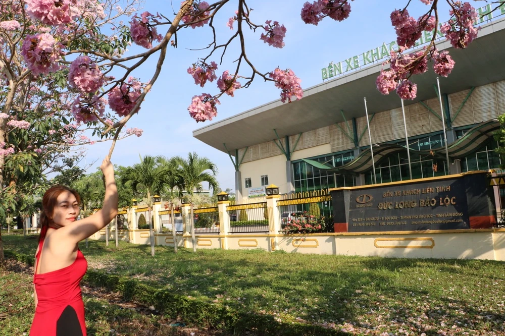 hong-phan-5 lớn.jpeg