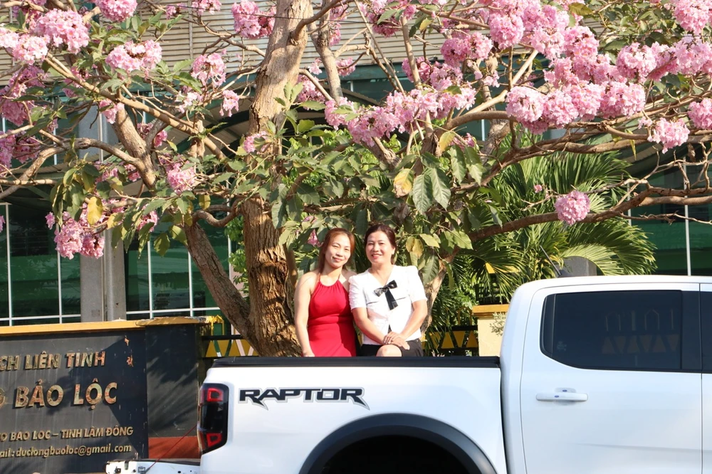 hong-phan-9 lớn.jpeg