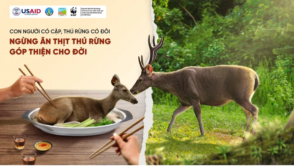 ngừng ăn thịt thú rừng