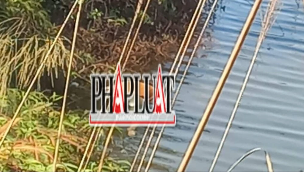 Thi thể một phụ nữ nổi trên hồ Cai Bảng