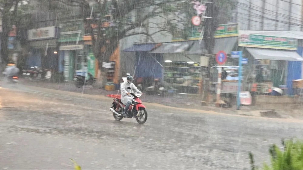 Xuất hiện mưa đá ngay trong cơn mưa đầu mùa ở Đà Lạt