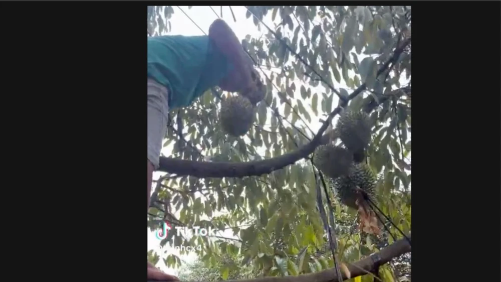 Ảnh màn hình 2024-04-23 lúc 22.05.49.png